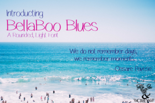 BellaBoo Blues: The Rounded Sans Serif That Elevates Campaign Visuals