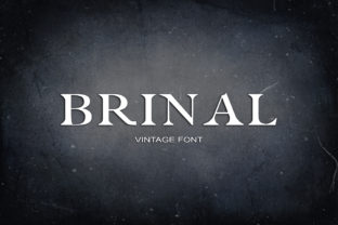 Brinal: The Serif Font That Transformed My Brand Identity