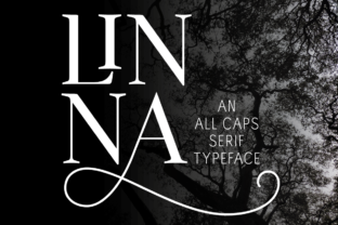 Linna: A Designer's Real-World Review of This Premium Serif