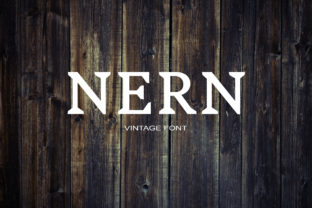 Nern: The Premium Serif Font for Scroll-Stopping Visuals