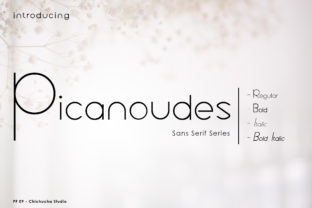 Picanoudes: A Sleek Sans Serif Typeface for Modern Digital Brands