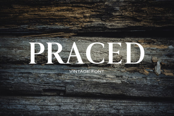 Praced: The Premium Serif Font for Scroll-Stopping Brand Visuals