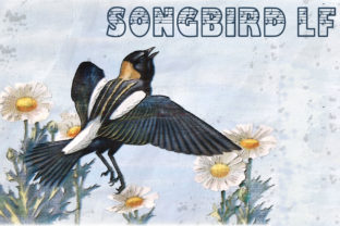 Songbird LF: The Decorative Typeface That Elevates Small Business Branding